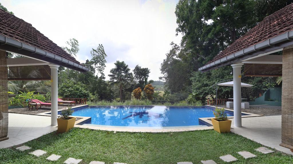 Lazy Lizard Hotel Galle Exterior foto